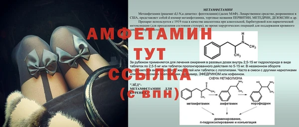 шишки Ладушкин