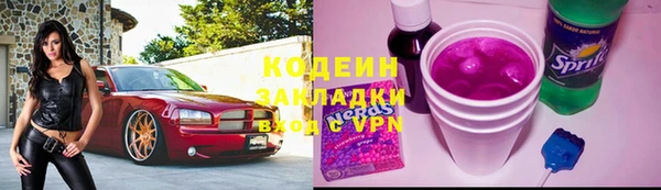 молекула духа Медвежьегорск
