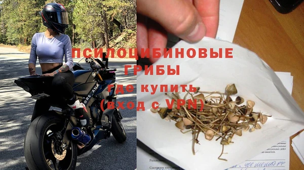 молекула духа Медвежьегорск