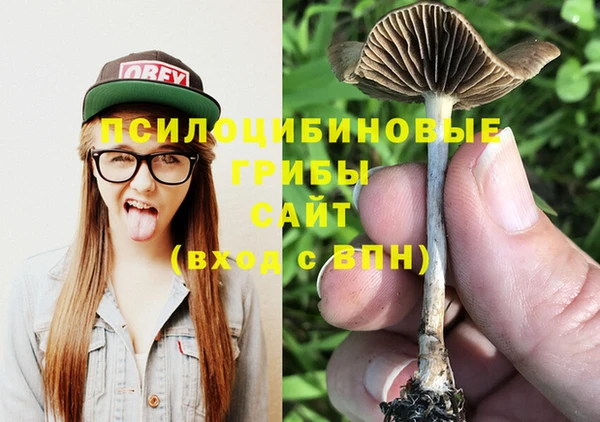 ALPHA-PVP Медногорск