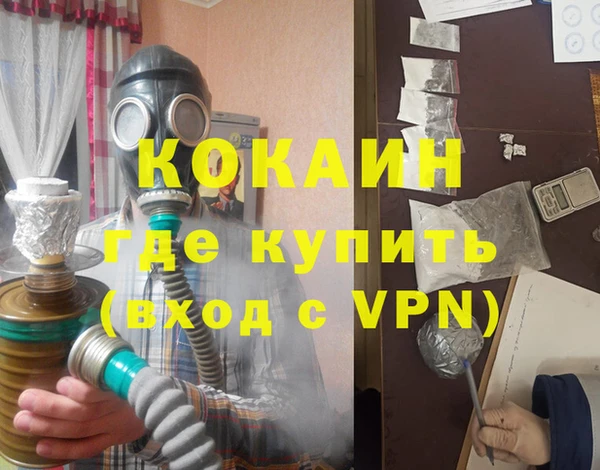 шишки Мегион