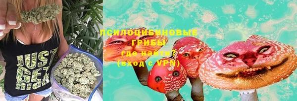молекула духа Медвежьегорск