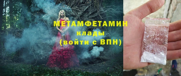 шишки Мегион