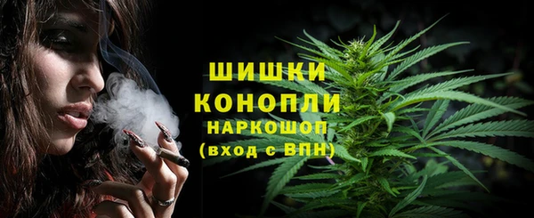 шишки Щёлкино