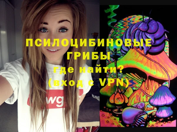 молекула духа Медвежьегорск