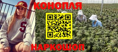 шишки Абакан