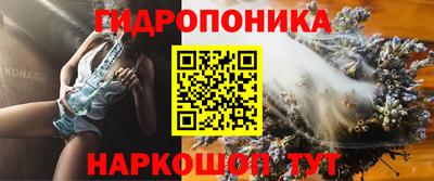 шишки Абакан