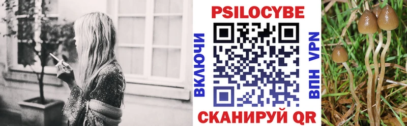купить закладку это Telegram Псилоцибиновые грибы мицелий Мегион