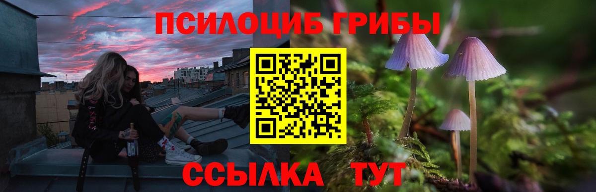 Галлюциногенные грибы GOLDEN TEACHER Мегион