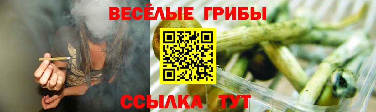 Мегион  Псилоцибиновые грибы Psilocybine cubensis  Вход с VPN 
